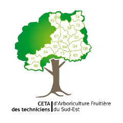 CETA des techniciens