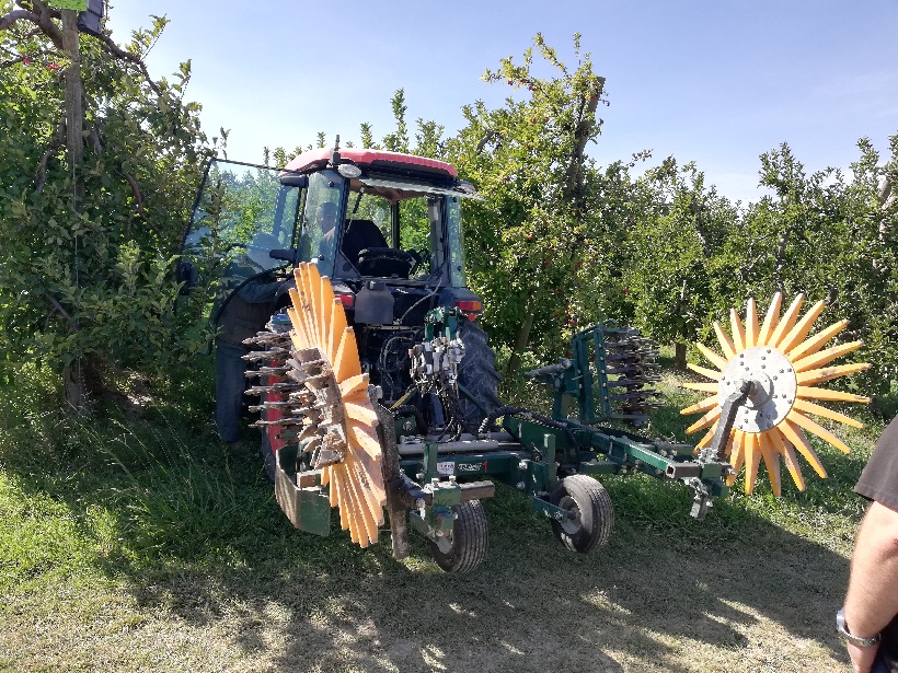 Réseau de ferme Dephy ; entretien du rang de plantation : ALM KULT efficace  et rapide. - GRCETA